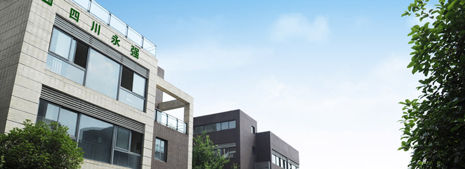 行業(yè)業(yè)務(wù)多元化優(yōu)勢(shì)